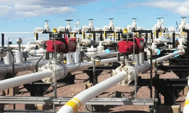 Argentina exportador neto de gas natural