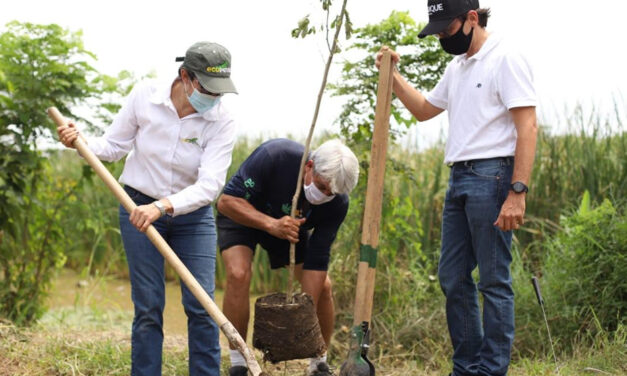 Grupo Ecopetrol se adhiere a la iniciativa “Sembrar Nos Une” con 6 millones de árboles