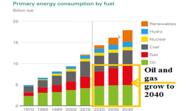 Gráfica del día | Ene 27, 2021 | Primary energy consumption by fuel