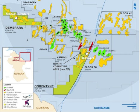 Guyana tiene un gran potencial offshore