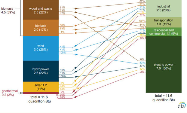 Gráfica del día | Jun 16, 2021 | U.S. renewable energy consumption by source and sector, 2020