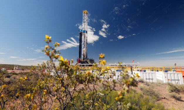Shell Argentina aumenta participación en Coirón Amargo Sur Oeste