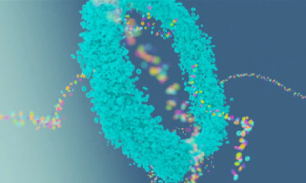 Los gigantes Schlumberger e IBM anuncian una solución de gestión de datos