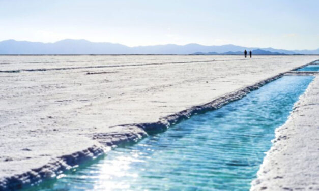 Litio: la nueva esperanza argentina