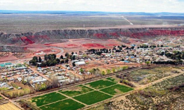 Tendencias en la actividad petrolera de Argentina