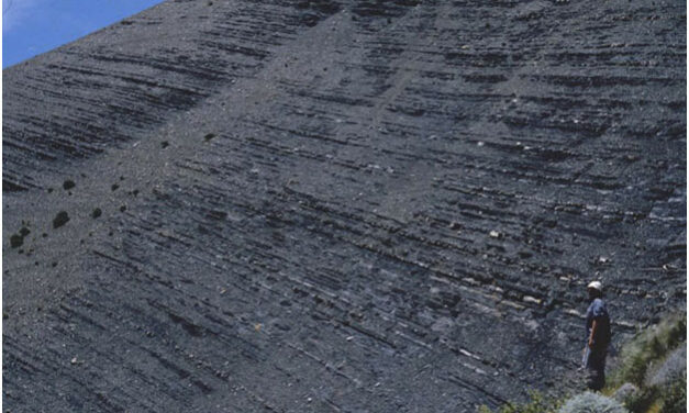 Vaca Muerta podría exportar 15.000 MM$/Año