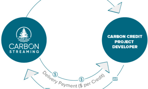 Transición Energética: Créditos de Carbono