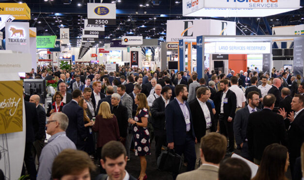 Nueva plataforma digital de  NAPE y Energy Domain