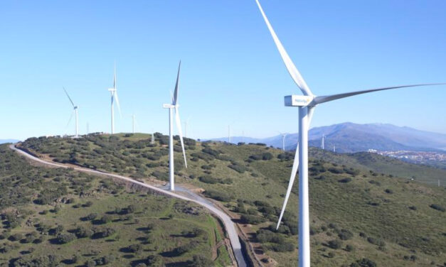 Futuro Descarbonizado