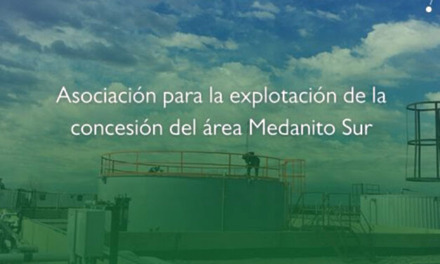 Pampetrol abre licitación del área Medanito Sur