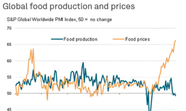 Gráfica del día | May 19, 2022 | El precio de la comida se dispara  a nivel mundial