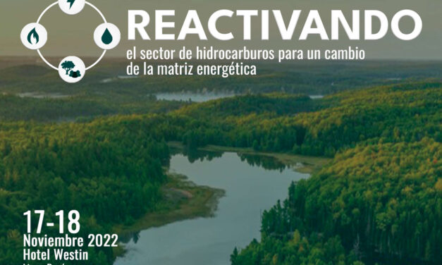 X INGEPET 2022