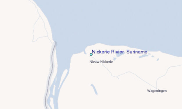 Surinam construirá un Megapuerto de US$ 5.400 millones