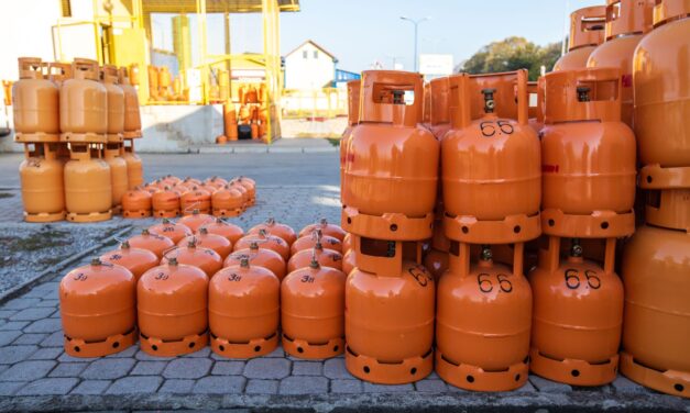 “El Gas LP es el combustible llamado a reemplazar la leña”