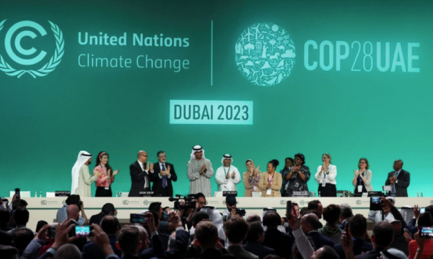 Todo sobre COP 28