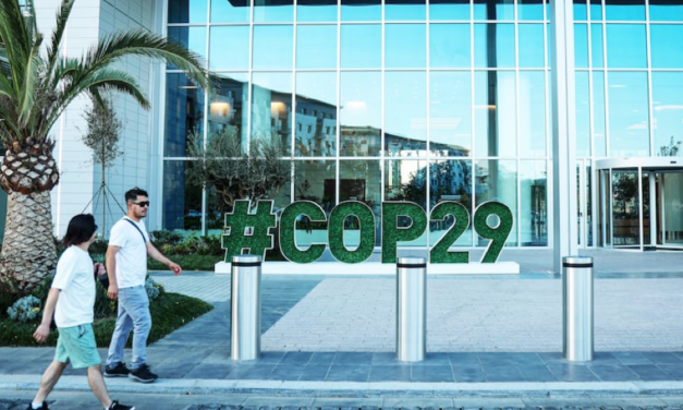 COP29