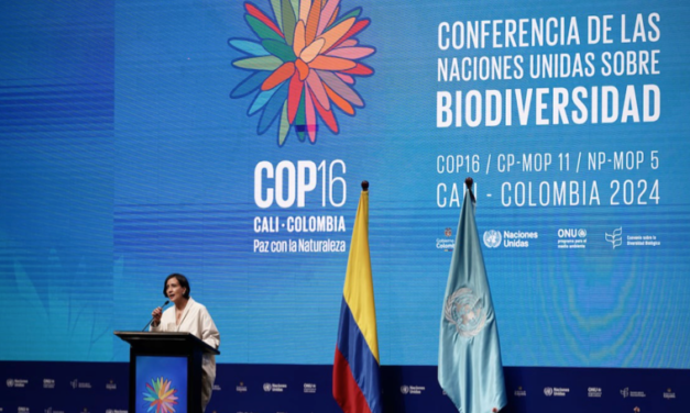 COP16
