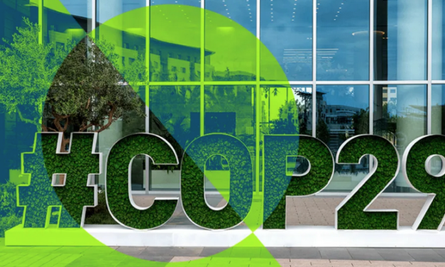 COP29 podría desatar la biomasa sucia
