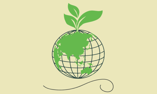 Conclusiones de la COP29