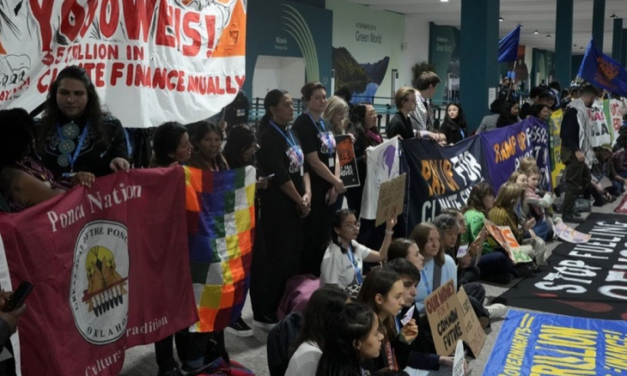 Los activistas climáticos en Bakú