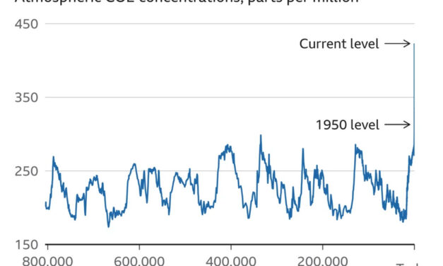 Gráfica del día | Nov 15, 2024
