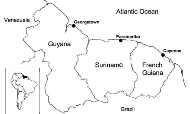 La polémica por el Triángulo del Río Nuevo
