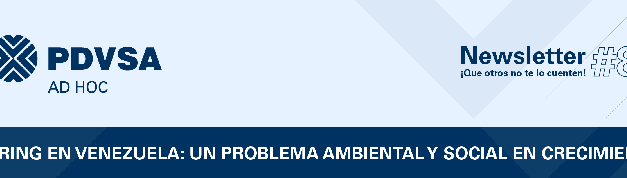 PDVSA Ad Hoc – Newsletter N°8