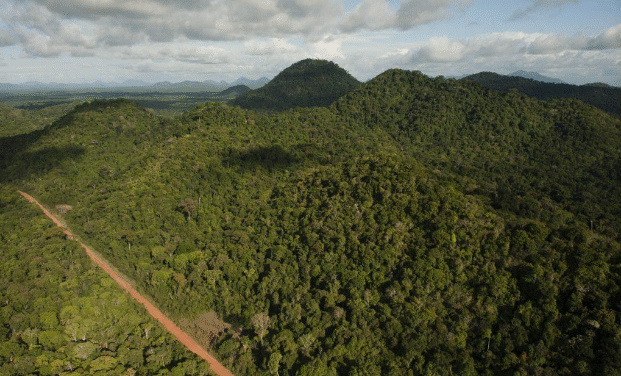 Apple utiliza créditos de la selva de Guyana