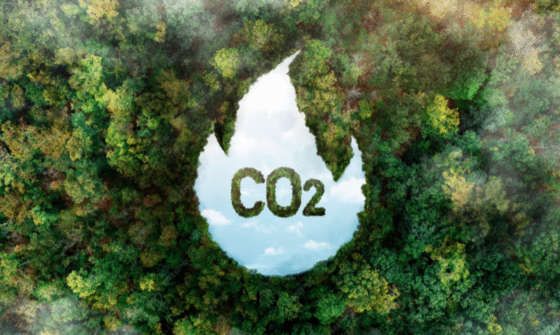 Créditos de Carbono y Bonos Verdes: Finanzas para un Futuro Responsable
