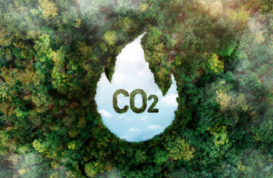 Créditos de Carbono y Bonos Verdes: Finanzas para un Futuro Responsable