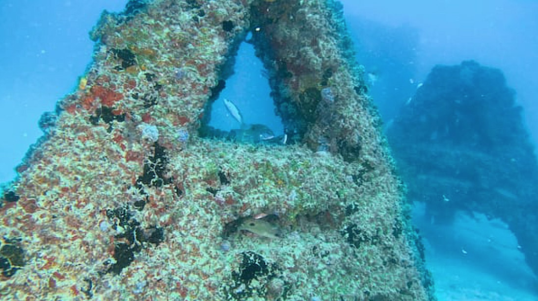El arrecife artificial de Dubái