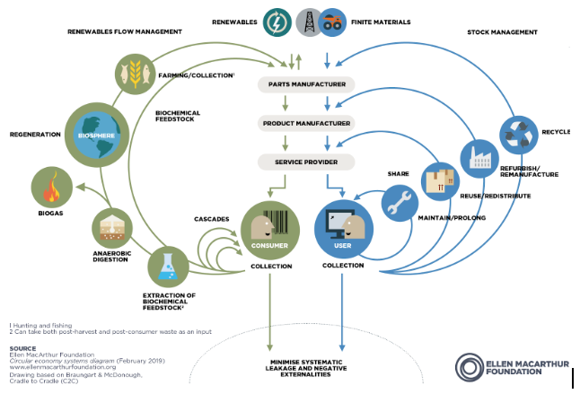 Economía Circular: El Nuevo Horizonte de la Sostenibilidad Energética