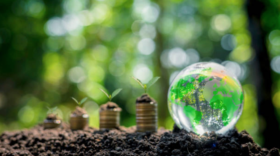 TotalEnergies invertirá 100 MM& en CI