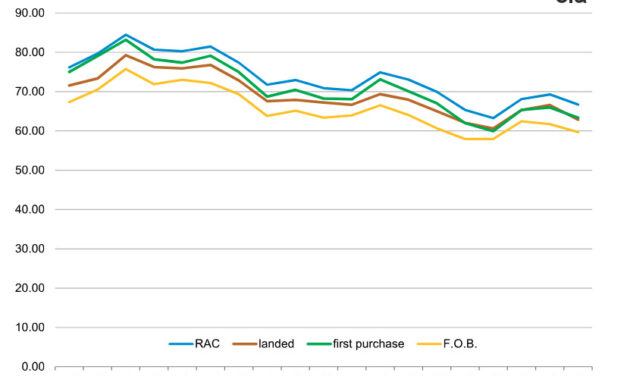 Gráfica del día | Nov 03, 2025