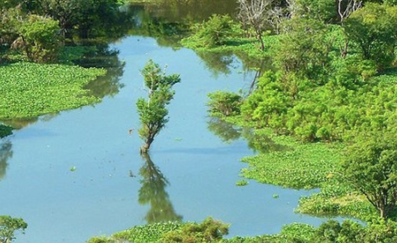 Descubrimiento del nacimiento del Orinoco 27 de Noviembre de 1951