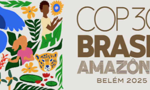 Amazonía, acuerdos voluntarios  y el pulso de la descarbonización