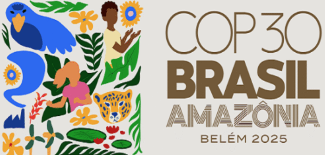 Amazonía, acuerdos voluntarios  y el pulso de la descarbonización