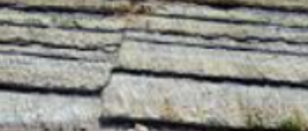 Perforación Horizontal en la Austin Chalk