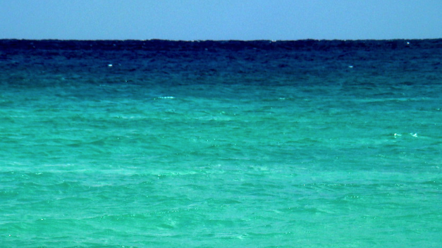 Historia de la Industria Petrolera en Florida