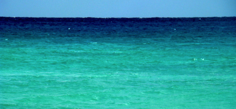 Historia de la Industria Petrolera en Florida