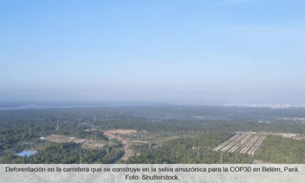 Estrategia de Brasil después de la COP30