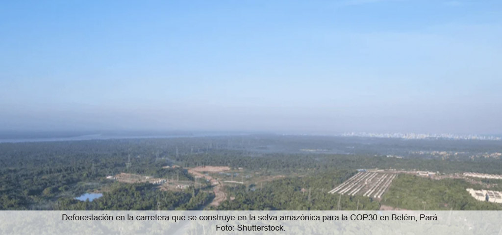 Estrategia de Brasil después de la COP30