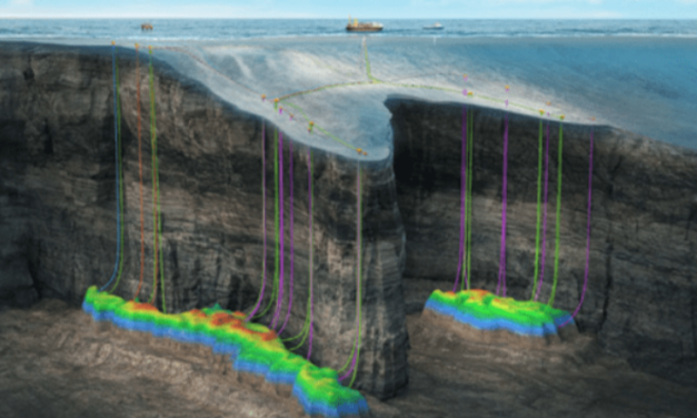 GranMorgu duplica a Yellowtail