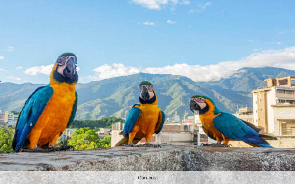 Venezuela vuelve a ser tan atractiva como el mítico “El Dorado”