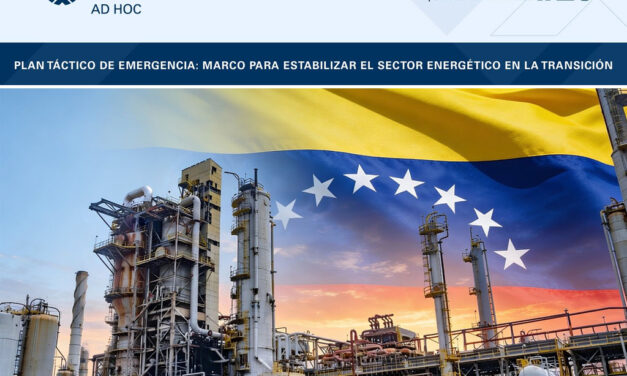 PDVSA Ad Hoc – Newsletter N°25