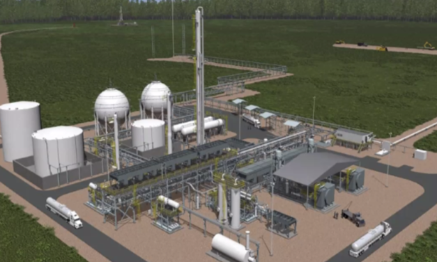 Licitan planta de fertilizantes en Guyana