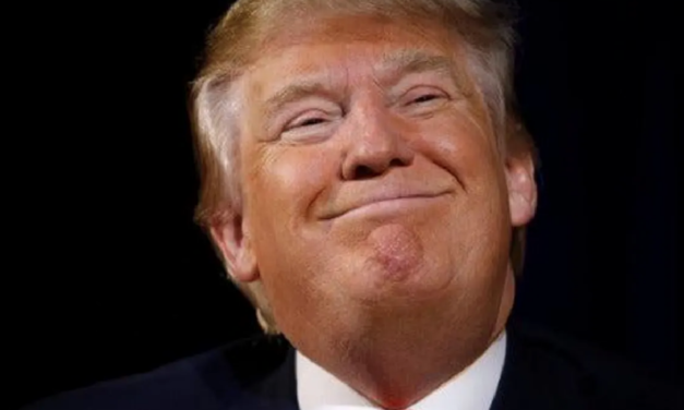 Las restricciones a las exportaciones 