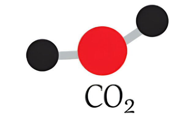 “Una Mina de Oro”