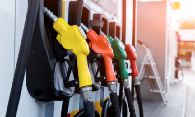 La cadena de valor del mercado de hidrocarburos