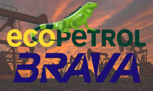 Ecopetrol negocia con Brava Energía